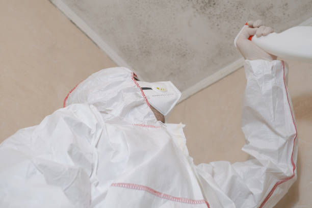 Attic Mold Removal in Kingsland, TX